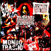Mondo Trasho