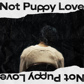 Not Puppy Love