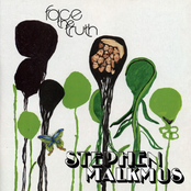 Stephen Malkmus: Face the Truth