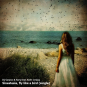 Sinestesia, fly like a bird (single)