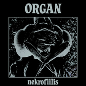 Nekrofiilis by Organ