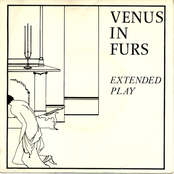 Playback by Venus In Furs