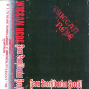 From Transilvanian Forests