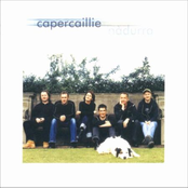 Michael's Matches by Capercaillie