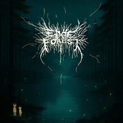 Edge of the Forest