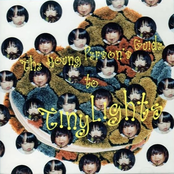 The Young Person's Guide To Tiny Lights