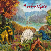 Harvest Sage (vinyl edit)