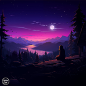 A Quiet Night In The Forest