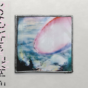 Murmuration Clip EP