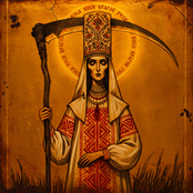 КОСА КОСИ