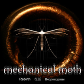 Zealot by Mechanical Moth