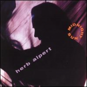 A Taste Of Honey by Herb Alpert