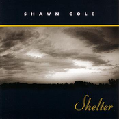 Shelter