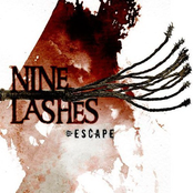 Escape by Nine Lashes