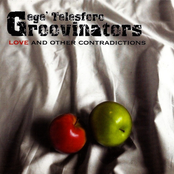 Love And Other Contradictions