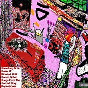 Something Is Not Sweet Or Ripened, Until Served Sober…Songs From The Second Story Repenthouse