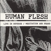 Life In Reverse / Meditation and Fears