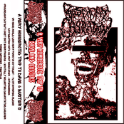 A Very Homoerotic Trip to Dave & Buster's