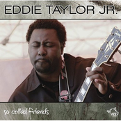 Blues In Your Life by Eddie Taylor Jr.