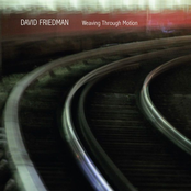 David Friedman – Weaving Through Motion