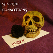 Severed Connections