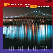 Bassik Instinct by Pieces Of A Dream