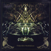 Didgeridoo Meditations