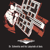 Dr. Scneirla And His Labyrinth Of Ants