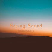 Seeing Sound