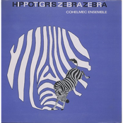 Hippotigris Zebra Zebra
