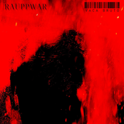 RAUPPWAR / VACA BRUTO