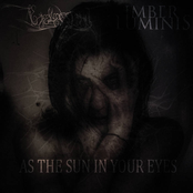 As The Sun In Your Eyes