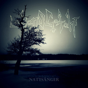 Nattsånger