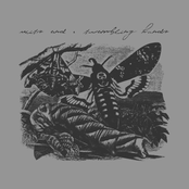 Split 7" with Wits End