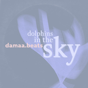Dolphins in the Sky