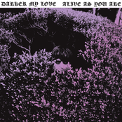 Cry On Me Woman by Darker My Love