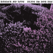 Trail The Line by Darker My Love