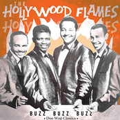 Buzz Buzz Buzz - Doo Wop Rarities