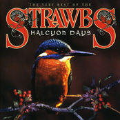 Here It Comes by Strawbs