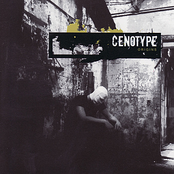 Skip Trace by Cenotype