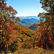 Fey Fili: Bread and Salt