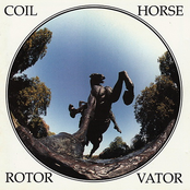 Horse Rotorvator