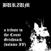 A tribute to the Count Grishnack (volume IV)