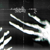 It Fell From The Sky....