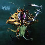 Ween: The Mollusk