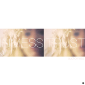 In Mess I Trust