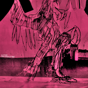 A New Shade Of Pink?