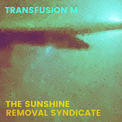 The Sunshine Removal Syndicate