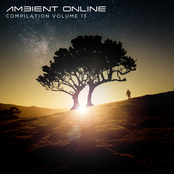 Ambient Online Compilation: Volume 13