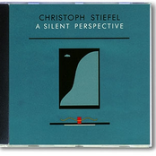 A Silent Perspective